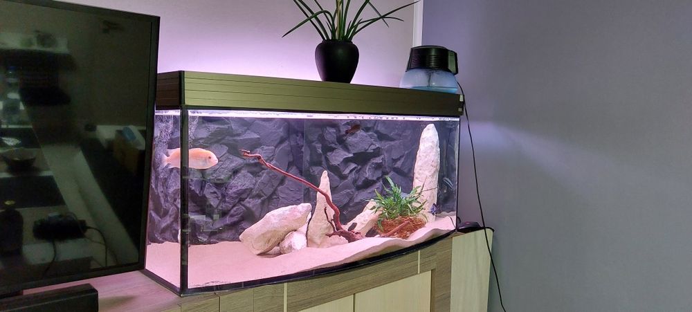 Dekoracja do akwarium - skały