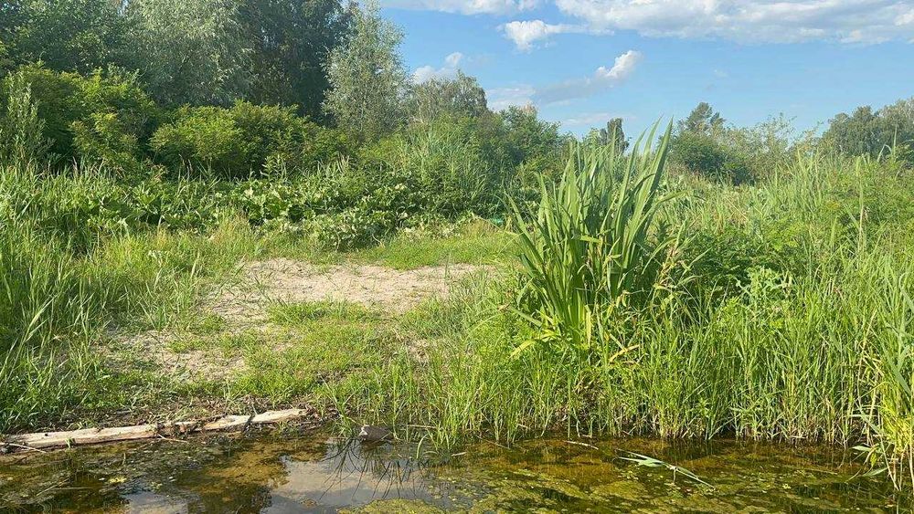 ЗЕМЕЛЬНА ДІЛЯНКА біля Києва з виходом на річку на воду вихід до Дніпра  12 сот. біля води  50 хв від Києва недорого краєвид Бориспільський рн