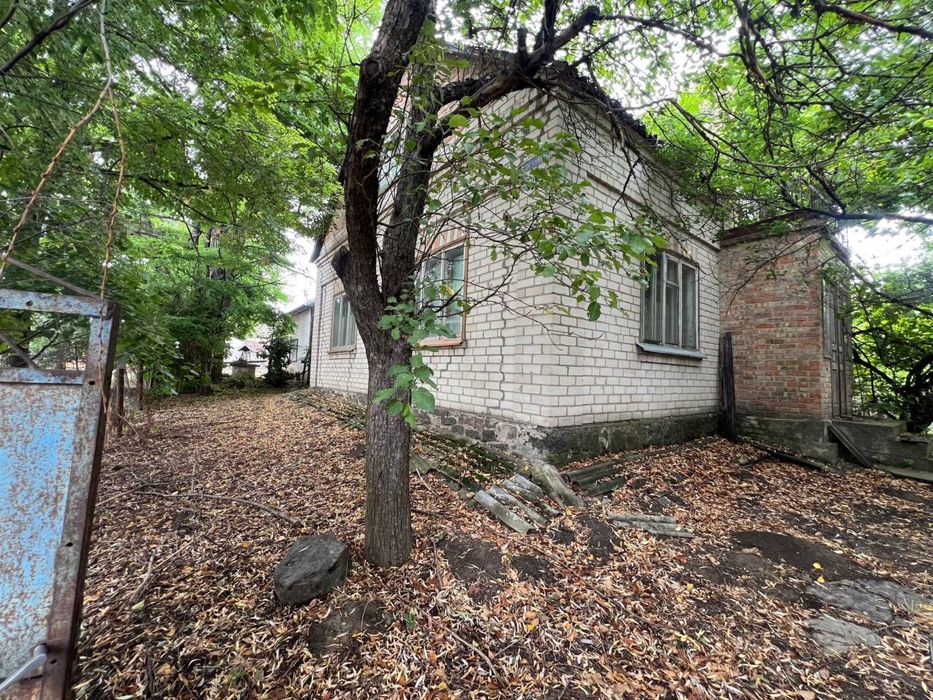 Продаж великого будинку село Орловець