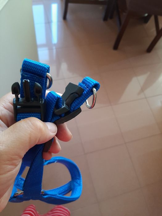Peitoral Azul Cão Porte Médio