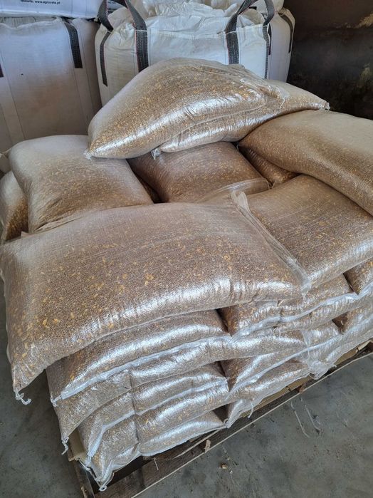 Vende se semente, Milho, trigo, mistura e cartamo