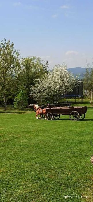 Noclegi Białka Tatrzańska ferie