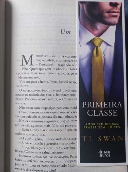 Primeira Classe - T L Swan (The Miles High Club - Livro 1)