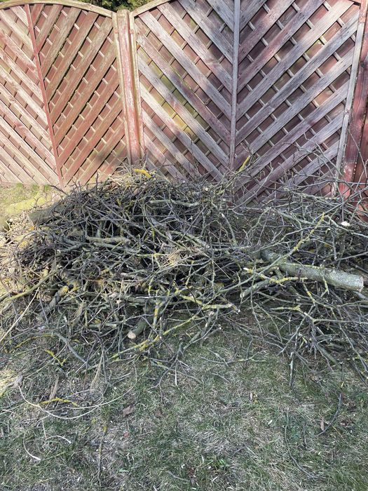 Oddam gałęzie orzecha, gałęzie drewno orzech