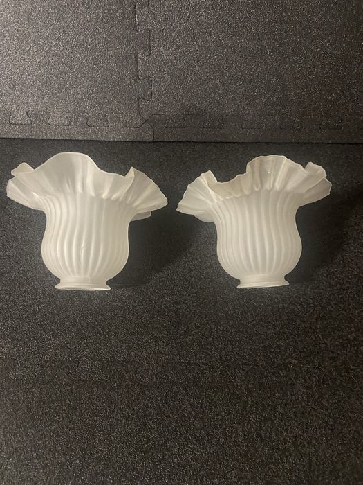 Par de tulipas antigas