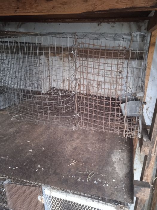 Клітки для кролів