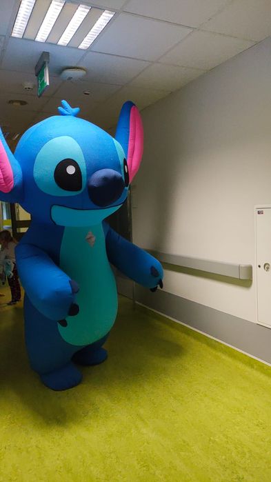 Wynajem dmuchanego stroju   Panda i stitch oraz biały mis