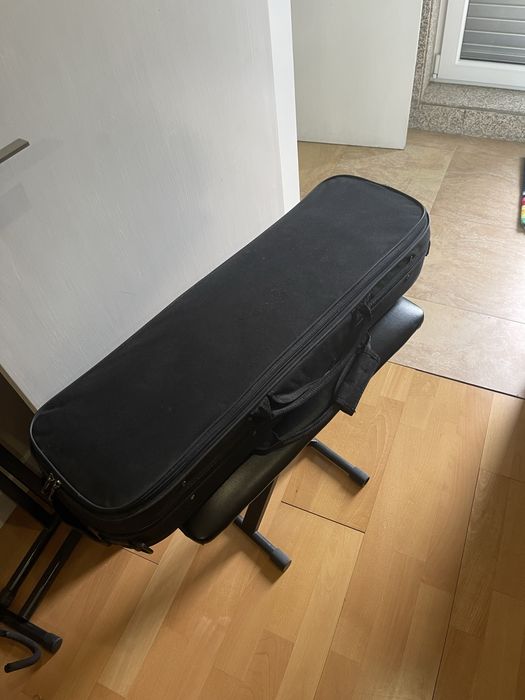 Violino 4/4 Aprendizagem Parrot