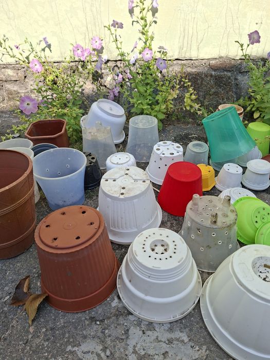 Горшки и кашпо для цветов