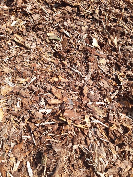 Kora sosnowa swieża pachnąca 80l worek 15zl