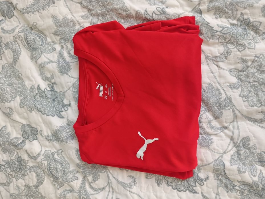 Bluzka męska Puma Drycell M