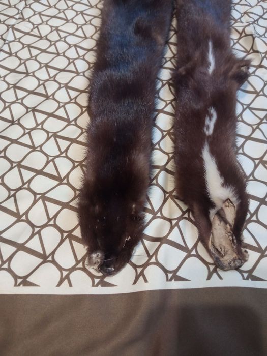 Продам хутро норки