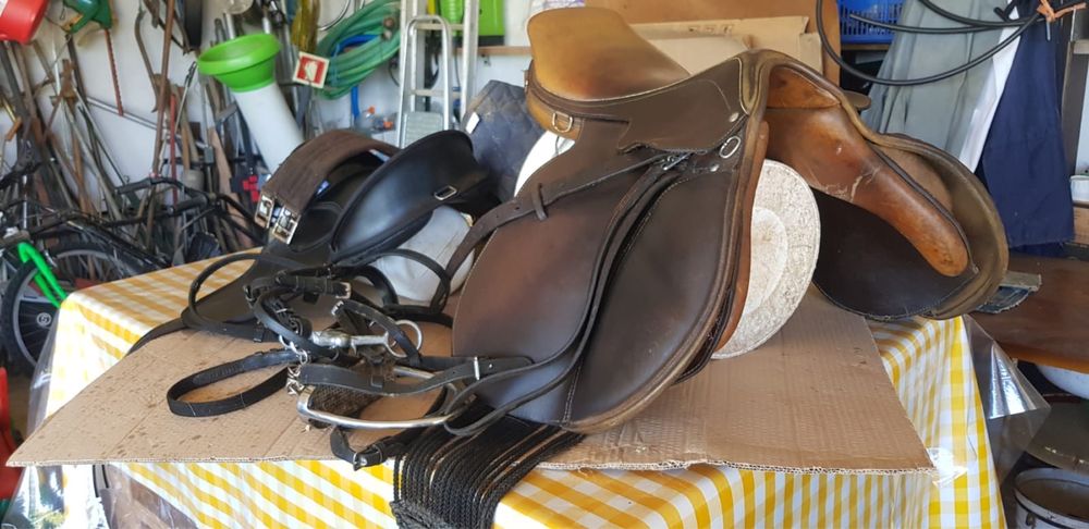 Poney c/s charrete e arreios