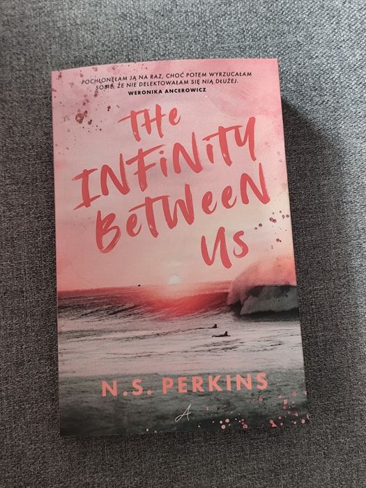 The infinity betwen us N.S. Perkins