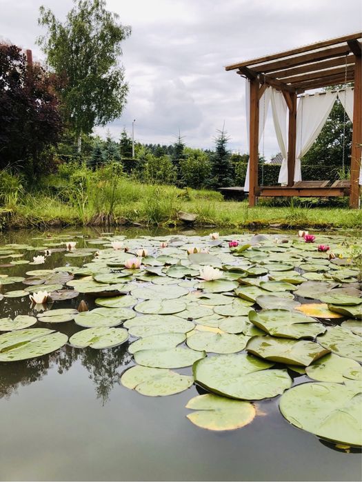 Domek Łabowa, całoroczny