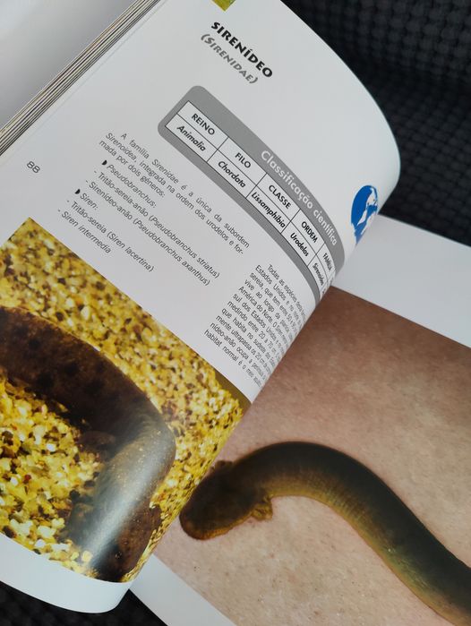 Coleção Mundo Animal