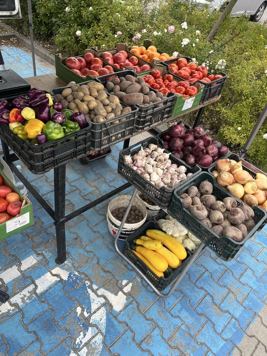 Ekologiczne warzywa i owocowe z poletka w Mirkowie ul. Kalinowa 3A