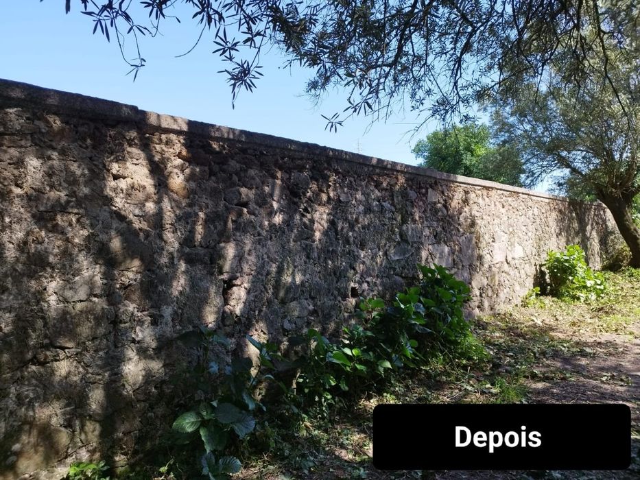Jardinagem e Manutenção de Jardim