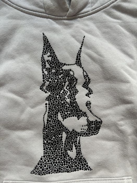 bluza skilly szara z dobermanem boxy