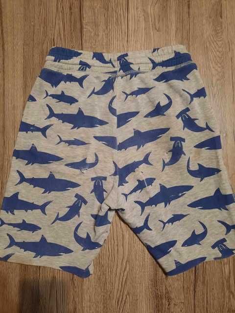 Krótkie spodenki w rekiny