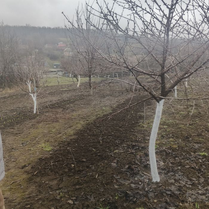 Продаю небольшой домик в живописном р-не с.Озеряни  возле г  Мерефа