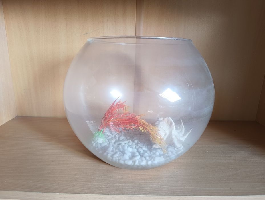 Okrągłe akwarium 8 litrów