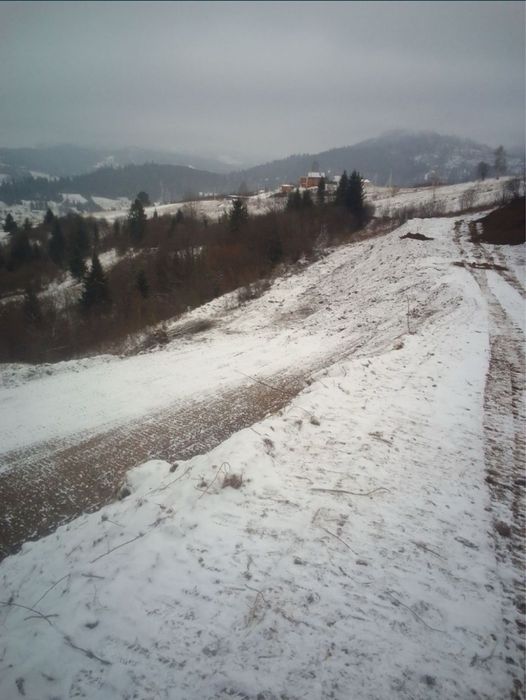 Земельна ділянка Славське 1га!