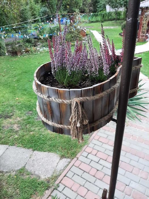Donica na wrzosy