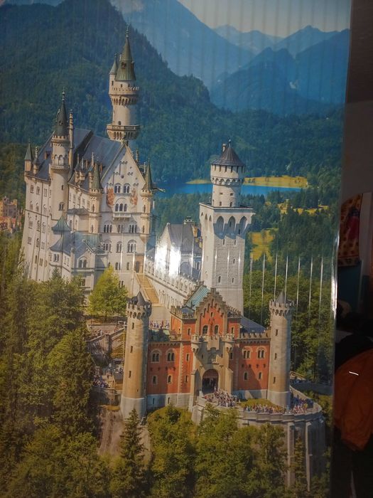 Картина обігрівач енерголікувальна на електроенергії