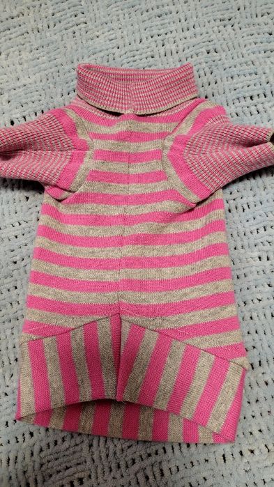 Светрики для сфінксів