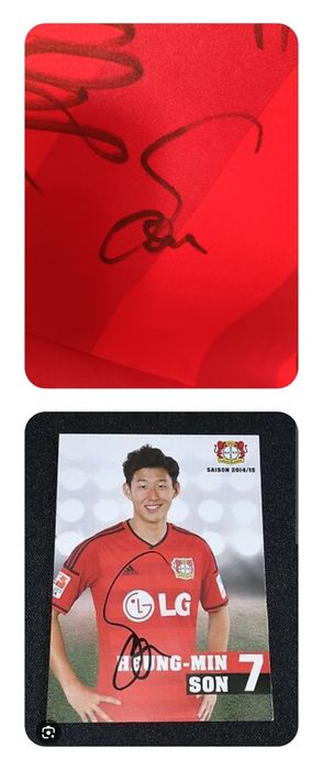 Koszulka Bayer Leverkusen 2014-15 Home Adidas Climacool Roz. M