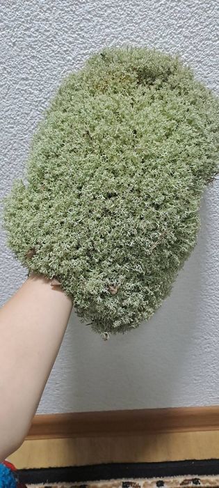 Ягель 30 л-350 грн