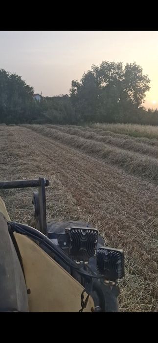 Feno sialgem  de azevém