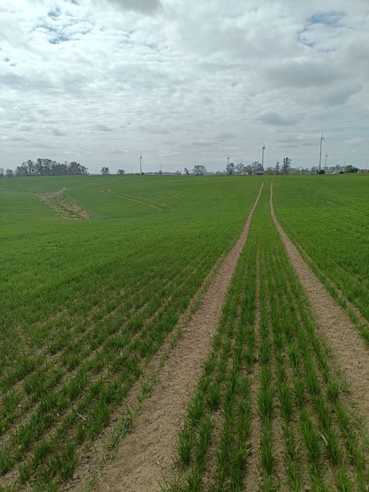 Sprzedam działkę rolną