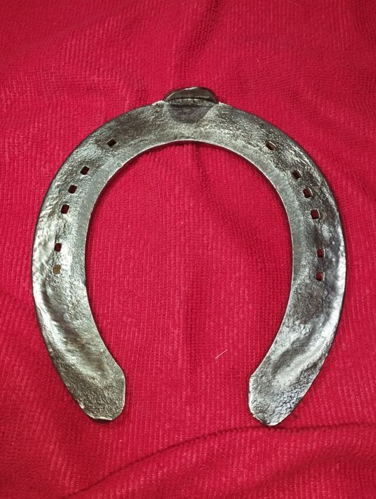 Справжня подкова ношеная конем