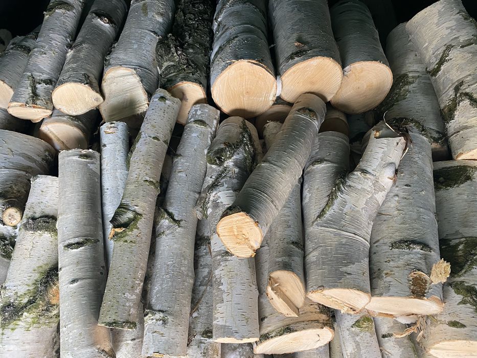 Na imprezę ognisko drewno kominkowe liściaste brzoza pocięte na30-40cm