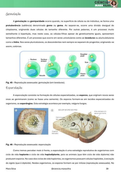 Explicações Online Biologia e Geologia