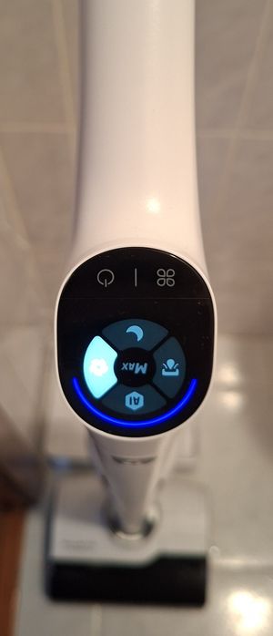 Rowenta XClean 10