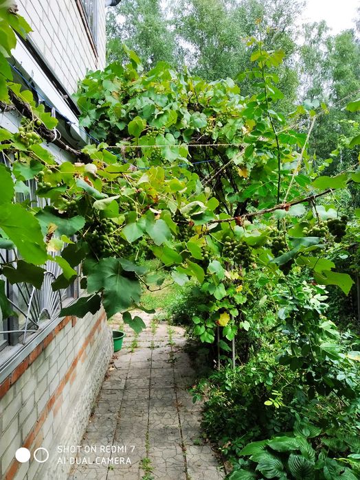 Своя дача в хорошем месте под Харьковом