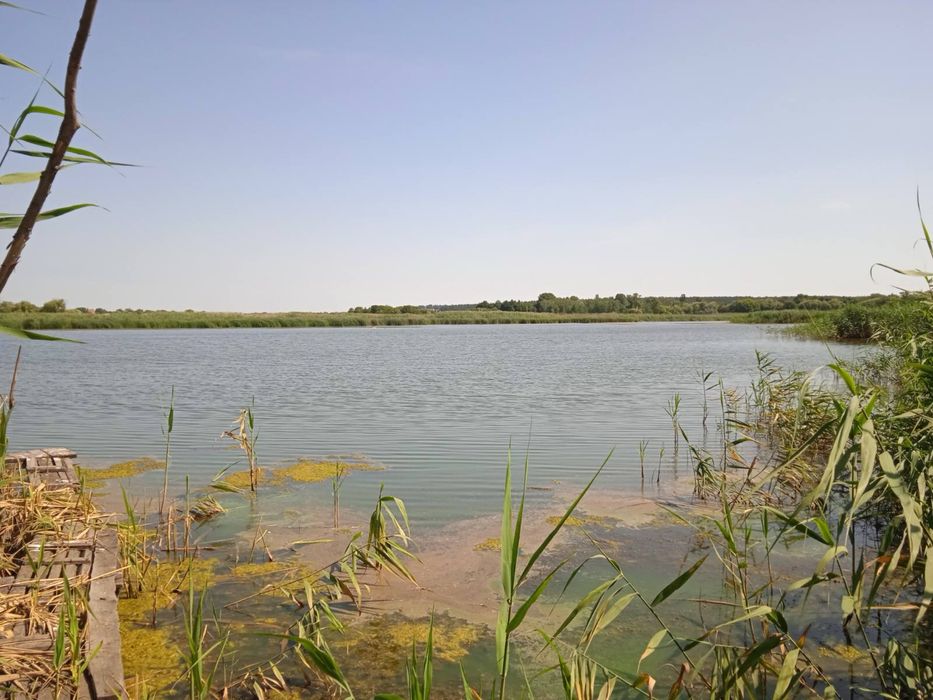 Продаж ділянки біля річки