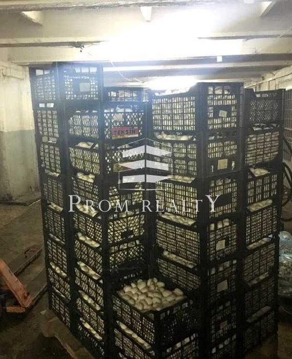 Продаж бізнесу з вирощування печериці