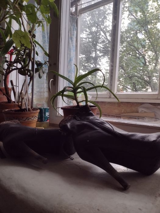 Продам кожанные ботильоны р38