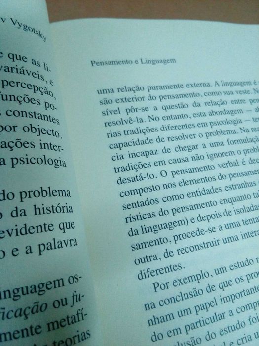 Lev  Vygotsky...