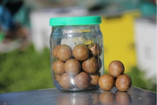 Прополіс віск мед забрус