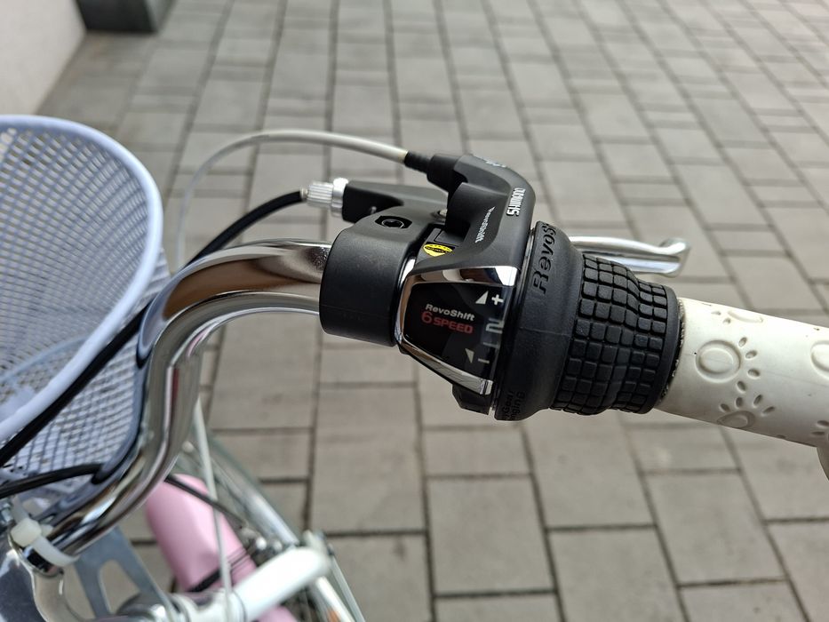 Polski rower Zasada Bikes koła 20" Maxim MJ 4.1