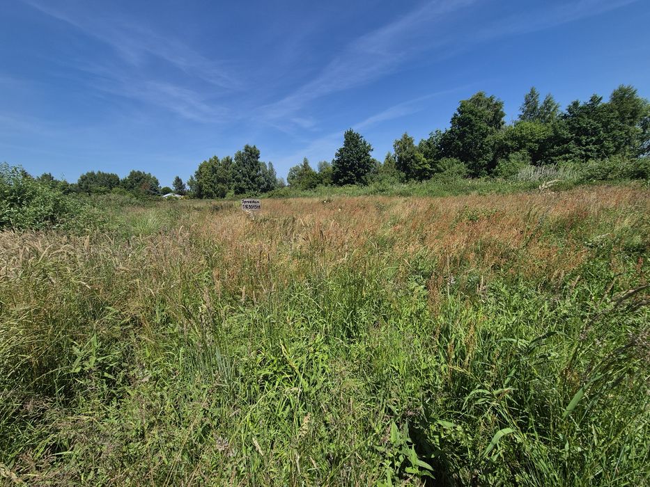 Działka nad morzem