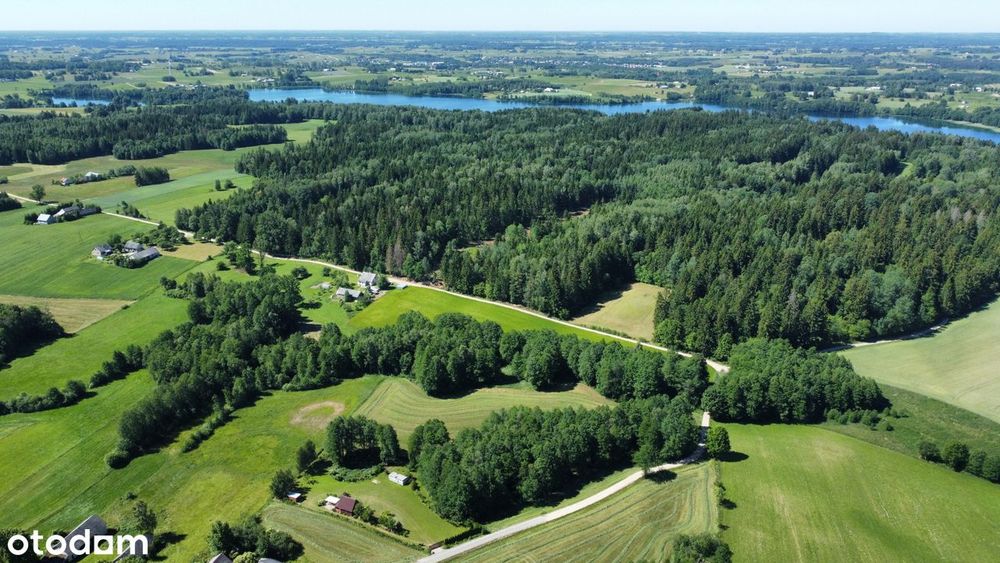Dom – Filipów - Widok 3