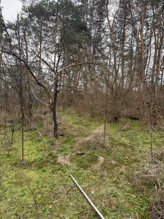 Будинок у лісі біля річки. Локація мрії між с.Пісчанка та с.Орловщина