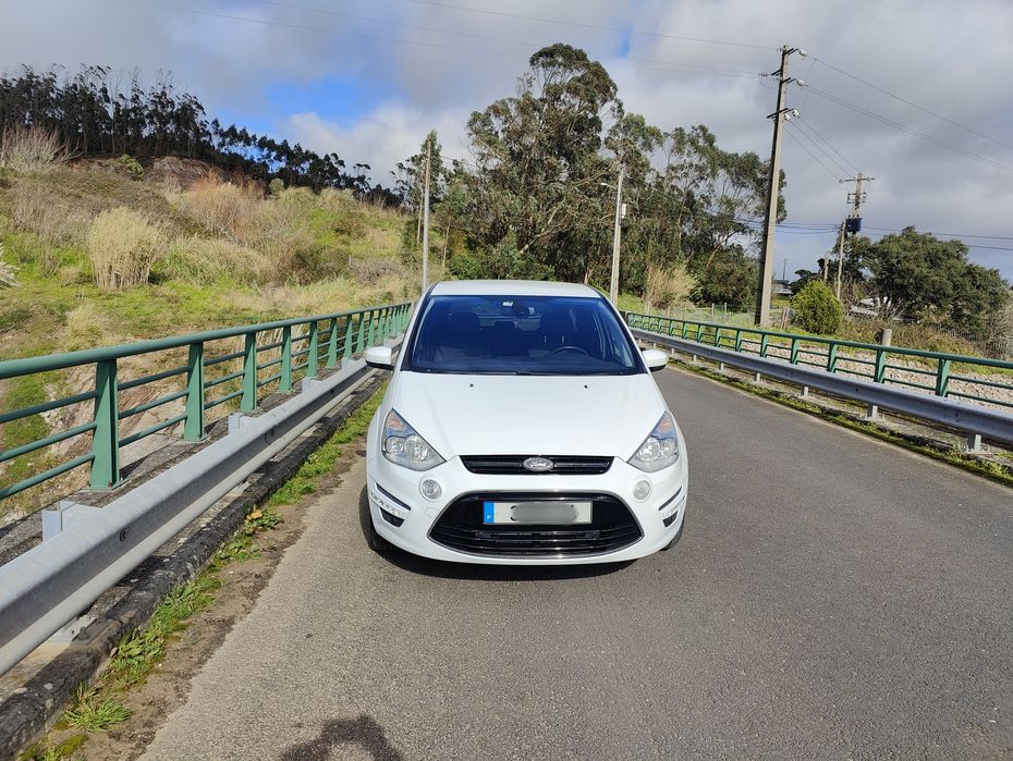 Ford Smax 2013 particular