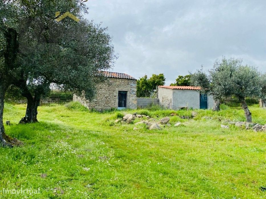 Quinta em zona rural tranquila